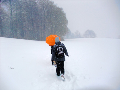 Wanderung im Ellerforst